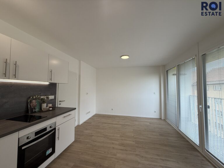 Pronájem bytu 1+kk 29 m², Brno – Auerswaldova