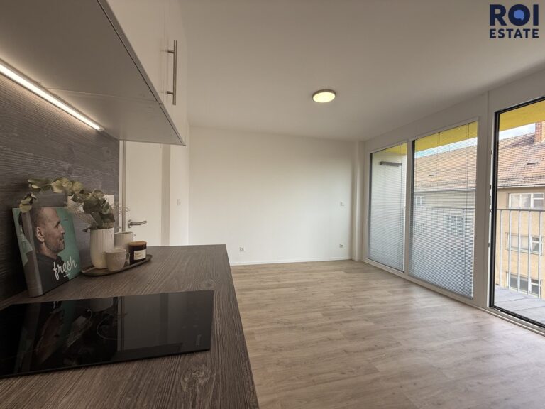 Pronájem bytu 1+kk 29 m², Brno – Auerswaldova