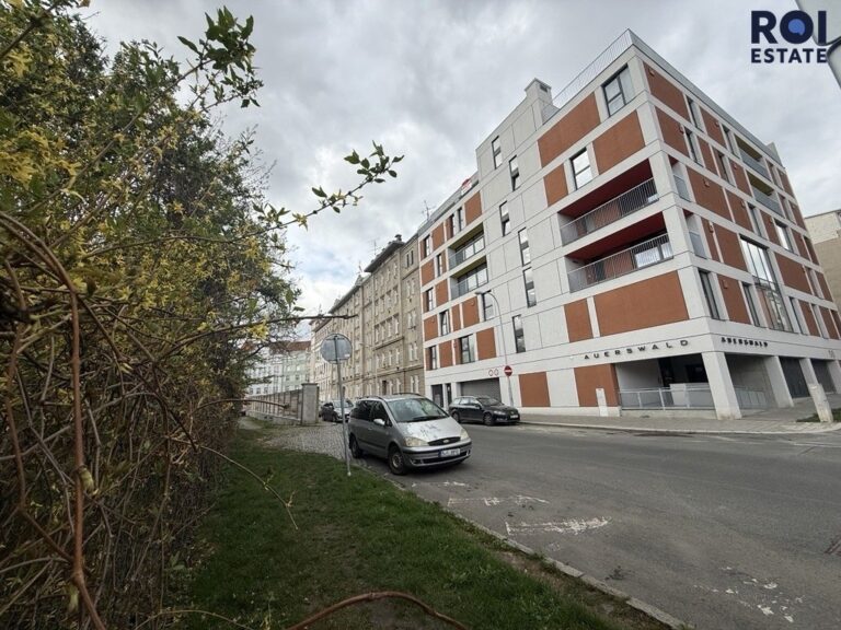Pronájem bytu 1+kk 29 m², Brno – Auerswaldova