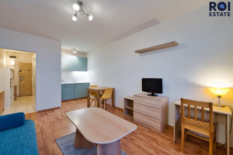 Pronájem bytu 1+kk 27 m², sklep, Hlavatého, Praha – Háje