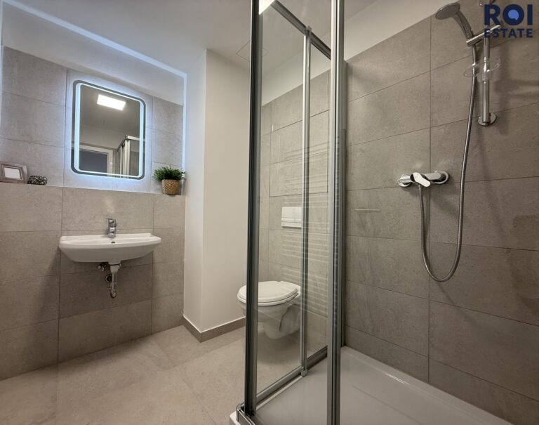 Pronájem bytu 1+kk 29 m², Brno – Auerswaldova
