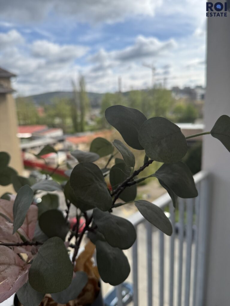 Pronájem bytu 1+kk 29 m², Brno – Auerswaldova
